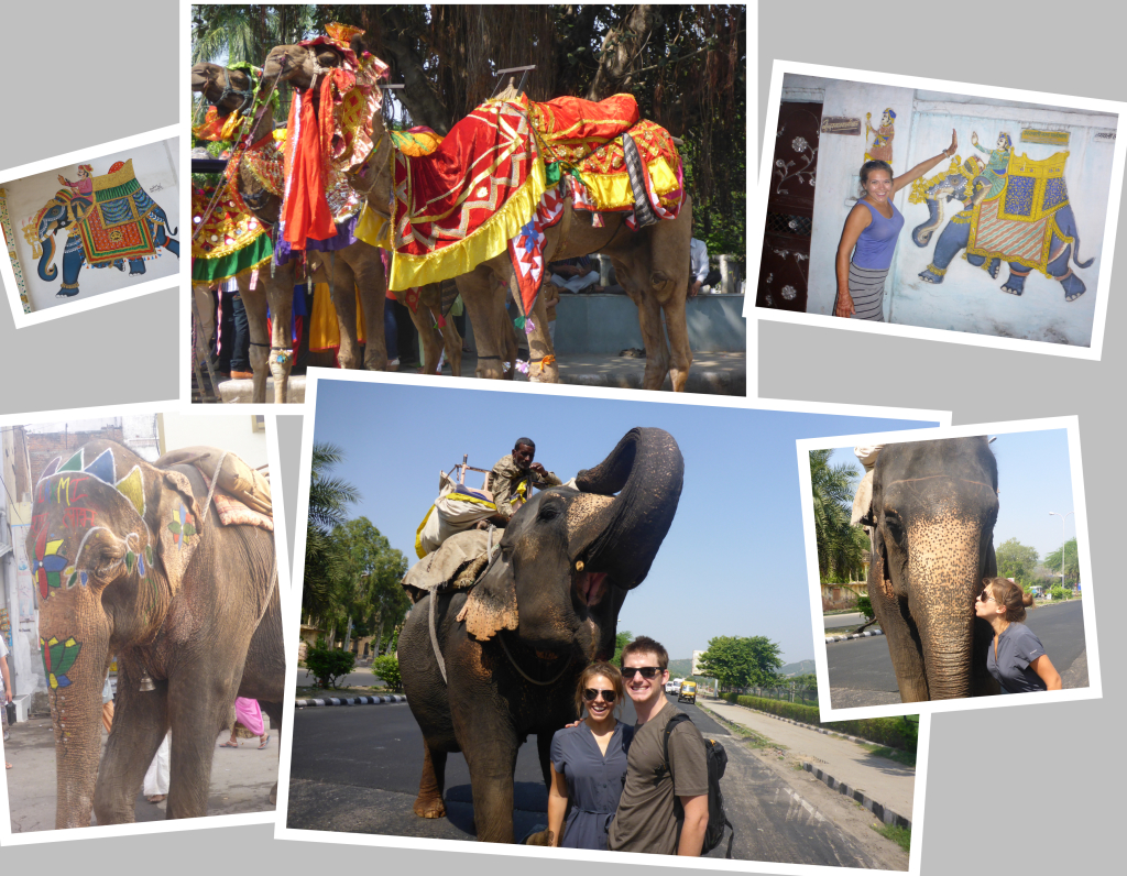 Elephants and Camels in India