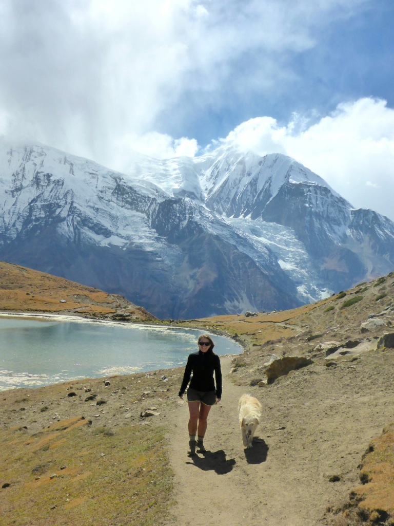 The Dog at 15,000ft  Manang, Nepal.