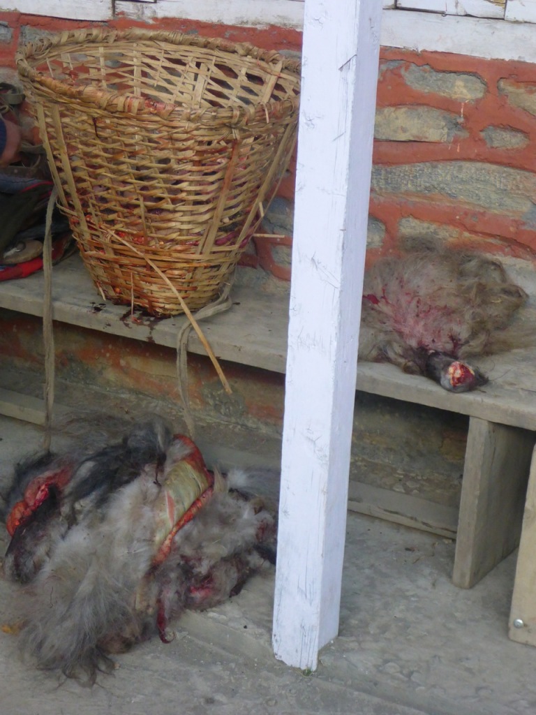 Fresh Yak Meat, Cheri Letdar, Nepal