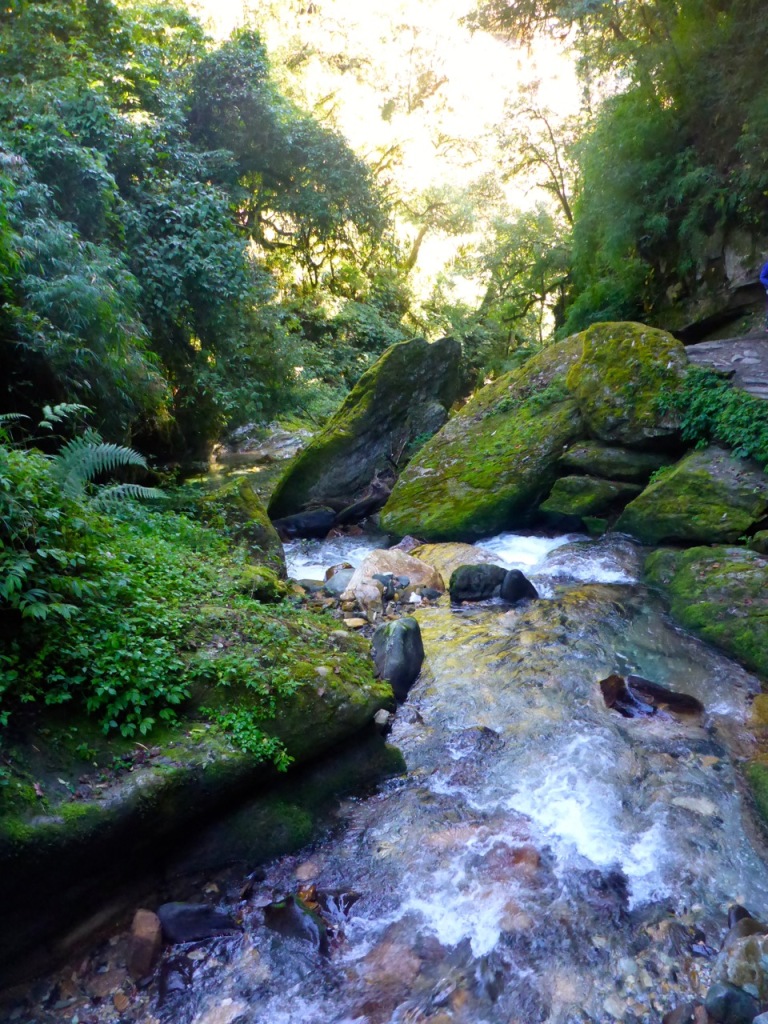 Jungle stream in Nepal.