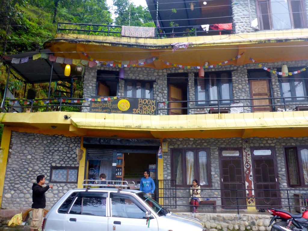 Bayan Tree, Pokhara, Nepal