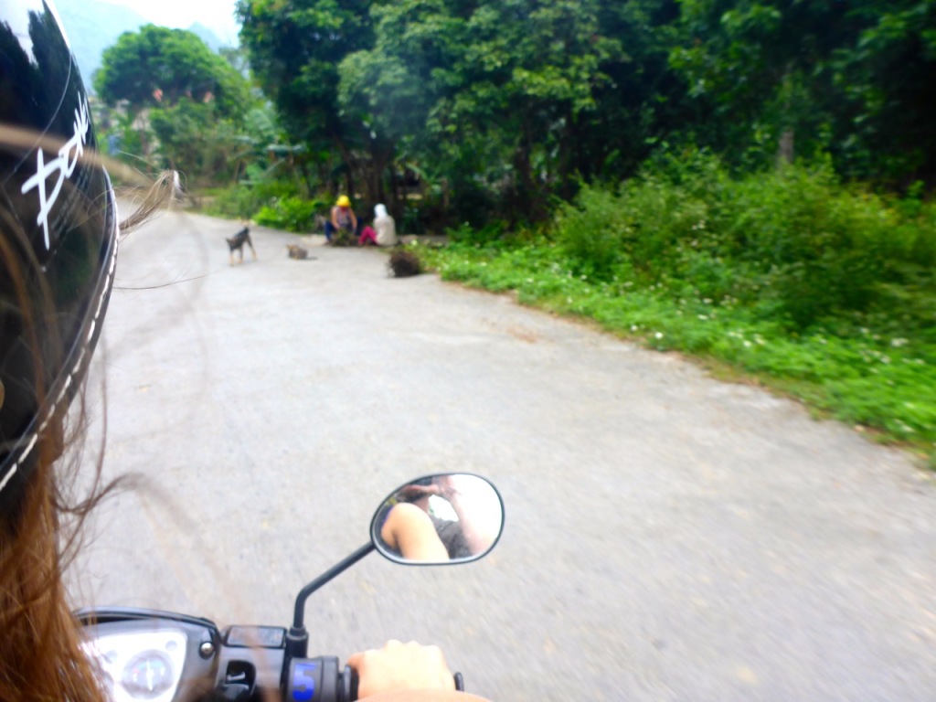 Thit Cho - Eating Dog in Vietnam