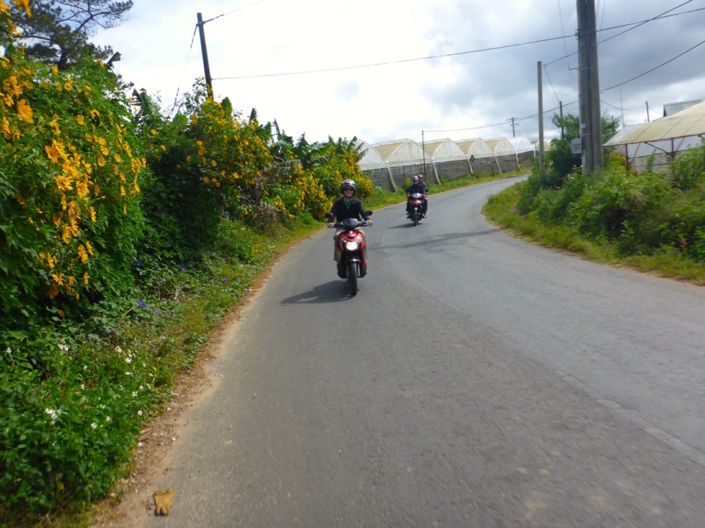 Easy Rider - Dalat, Vietnam