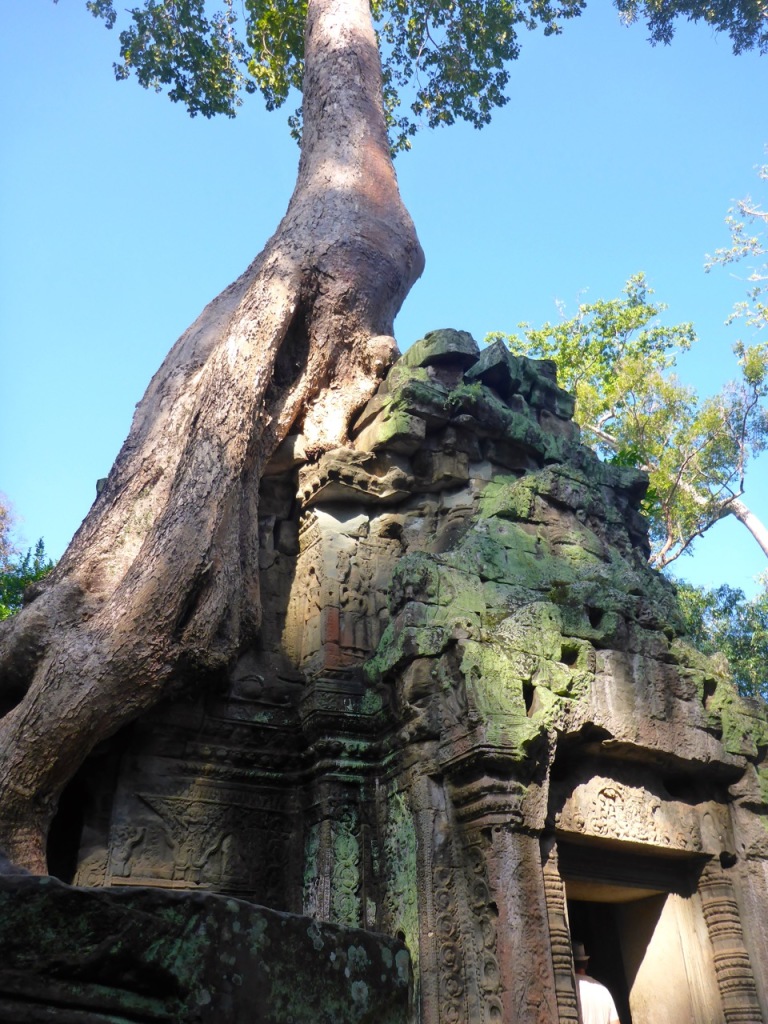 Angkor Wat, Siem Reap, Cambodia