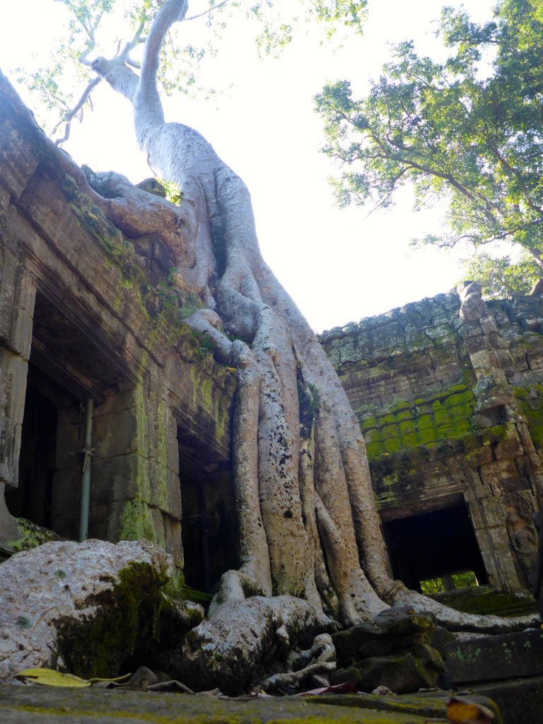 Angkor Wat, Siem Reap, Cambodia