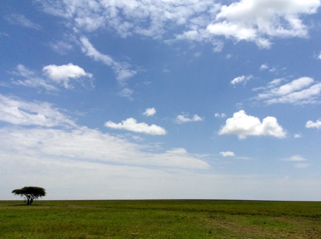 Serengeti National Park, Tanzania