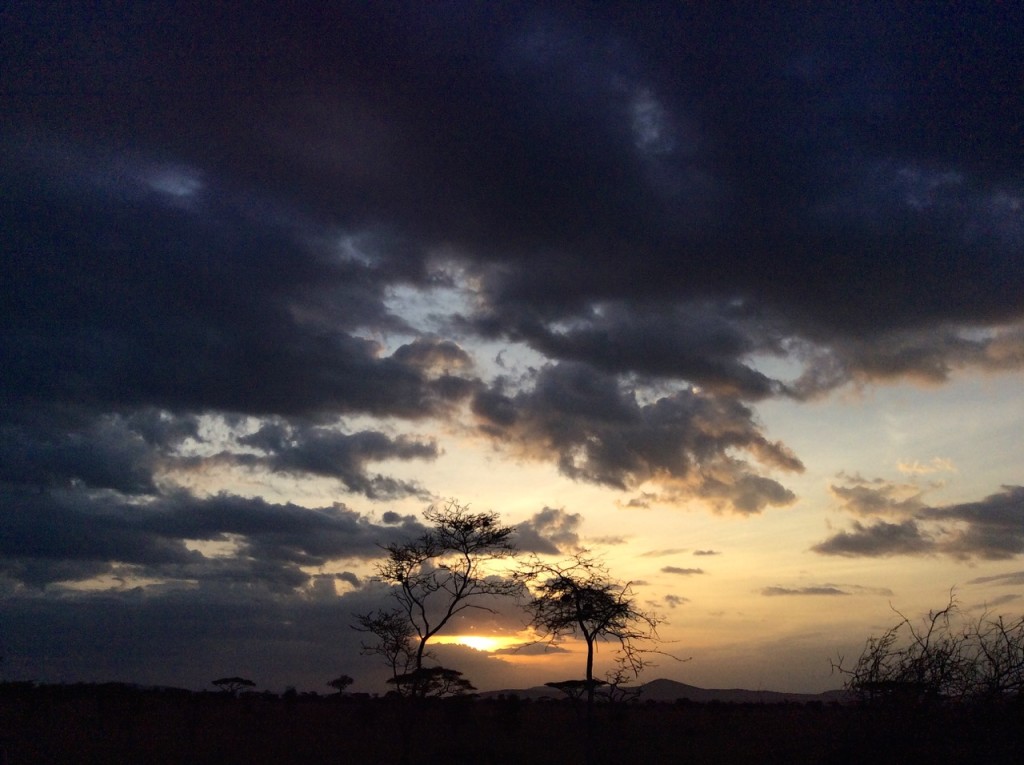 Serengeti National Park, Tanzania