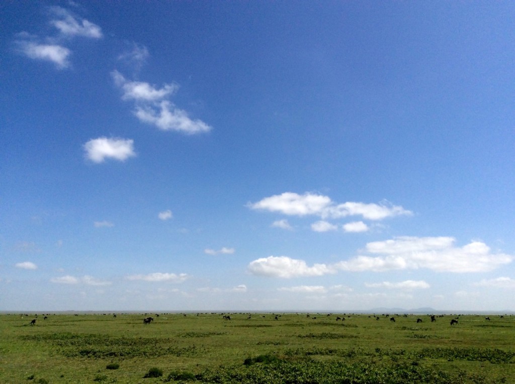 Serengeti National Park, Tanzania