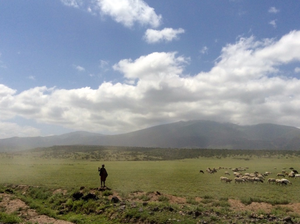 Ngorongoro Crater