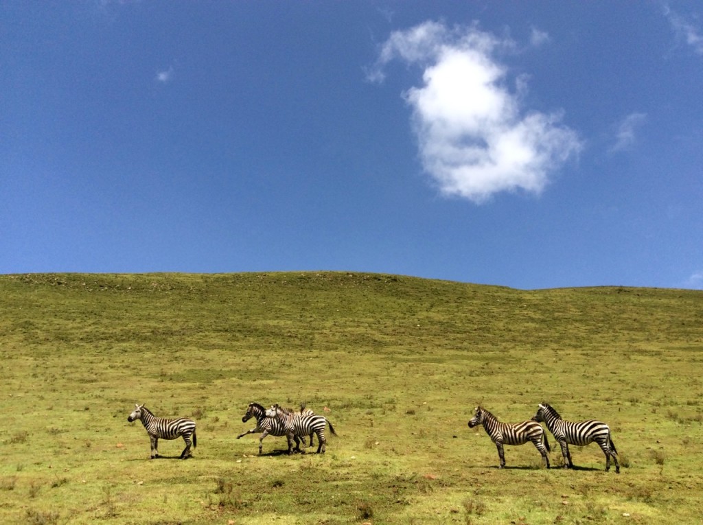 Ngorongoro Crater