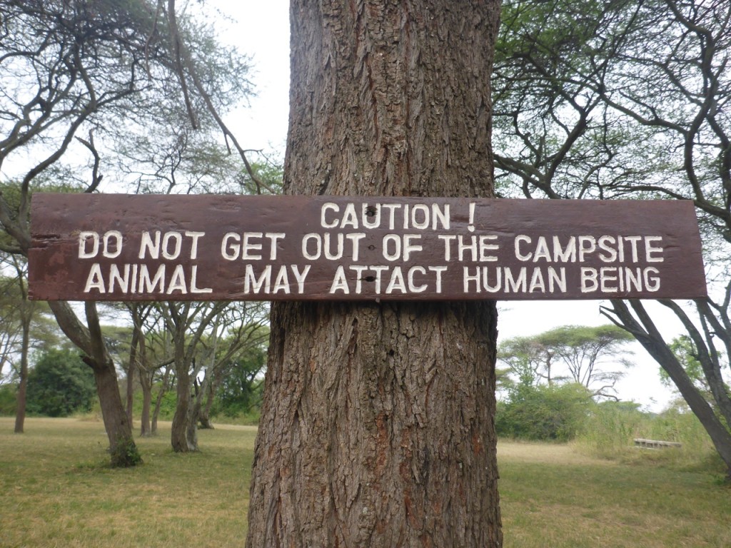 Serengeti National Park, Tanzania