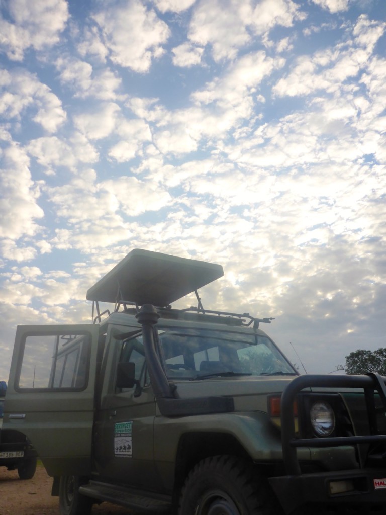 Serengeti National Park, Tanzania