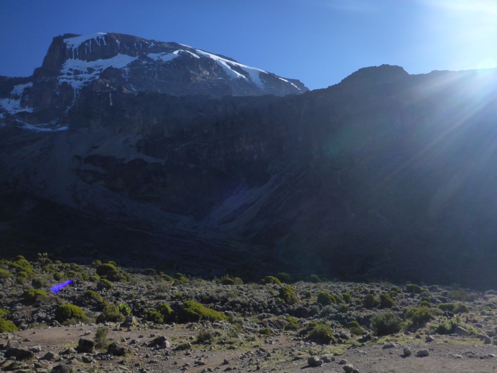 Kilimanjaro