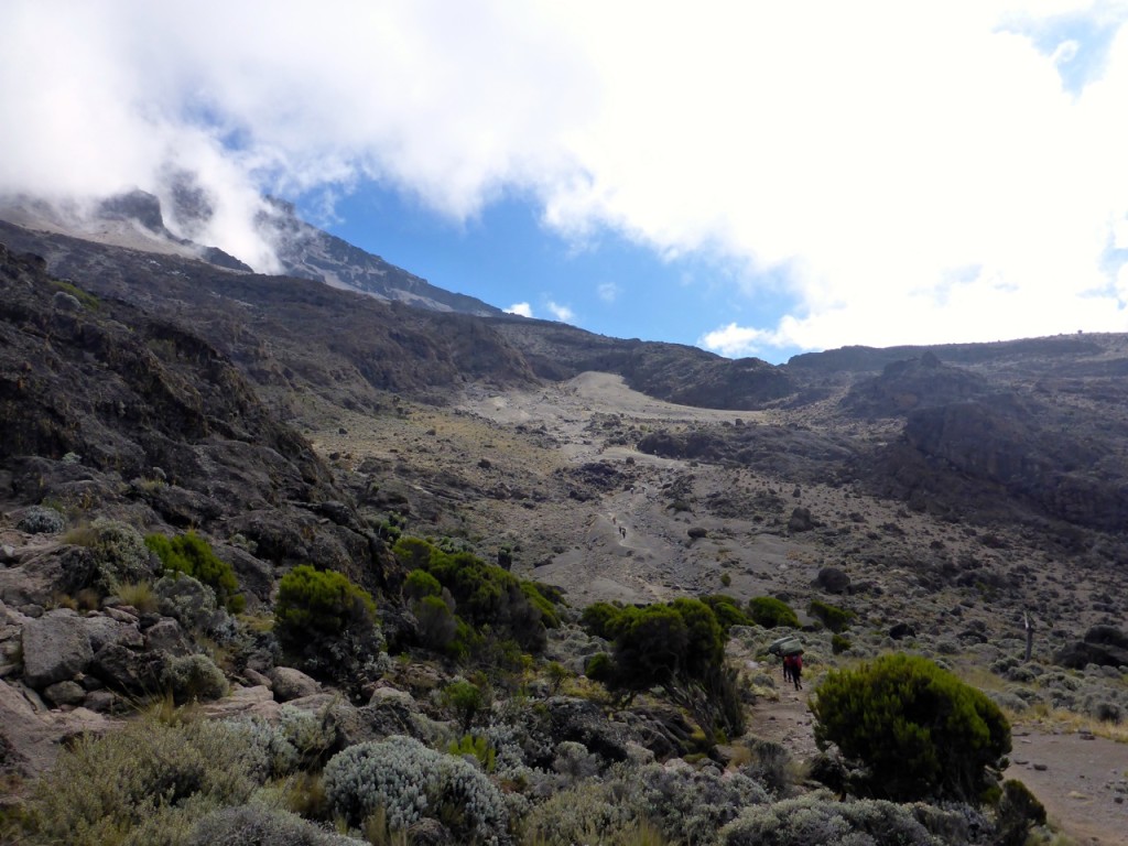 Kilimanjaro