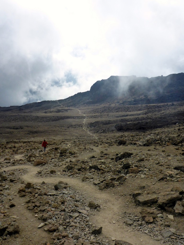 Kilimanjaro