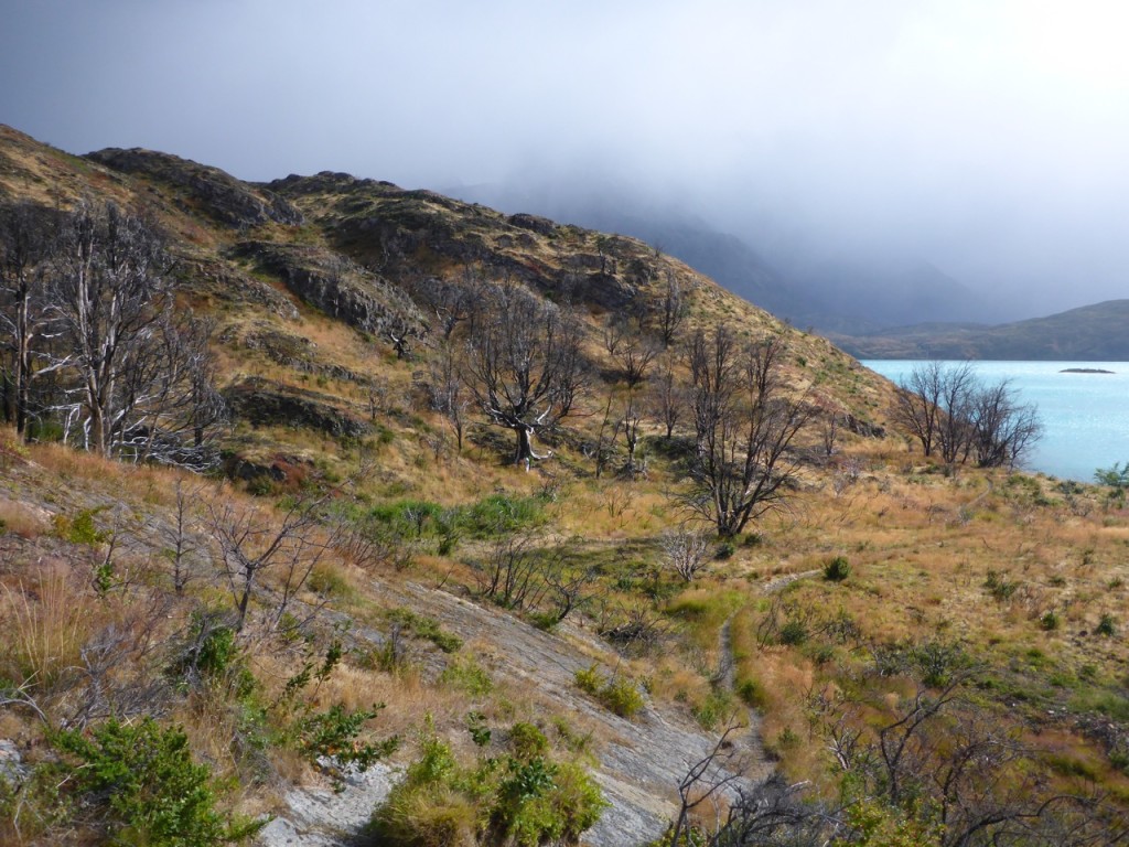 Torres del Paine, Patagonia, Chilie 