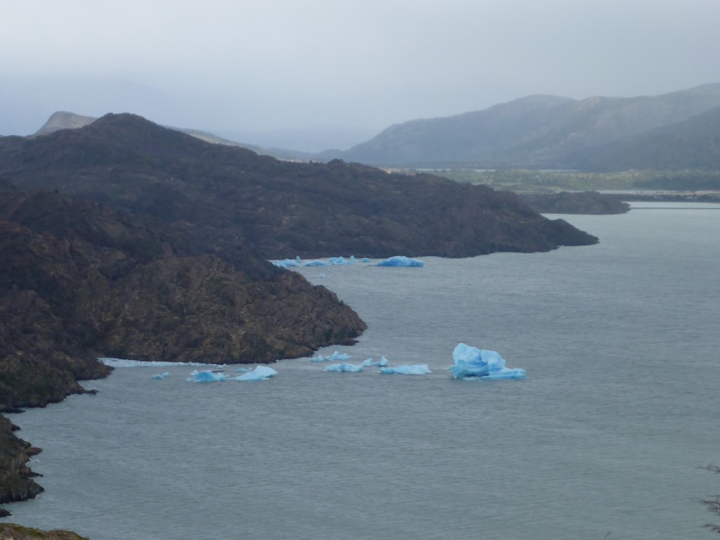 Torres del Paine: Patagonia Chile