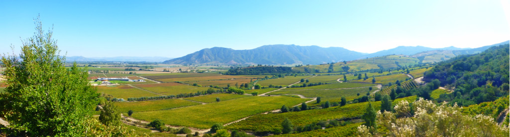 Colchagua Valley