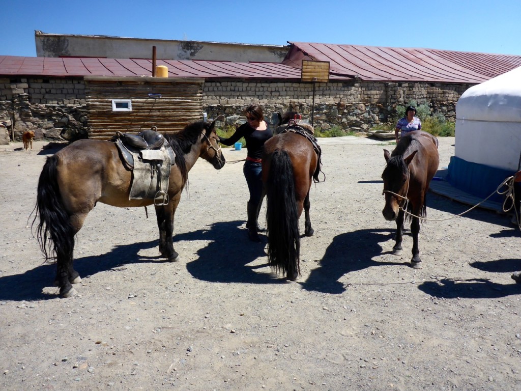 Buying Horses in Ölgii, Mongolia