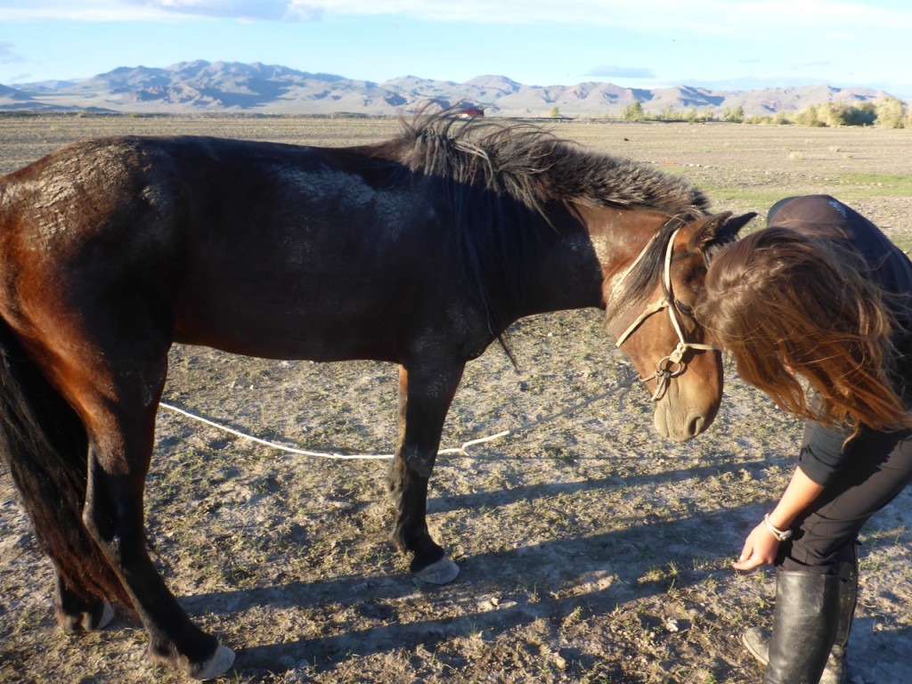 Making Friends in Mongolia