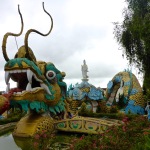 Easy Rider - Dalat, Vietnam