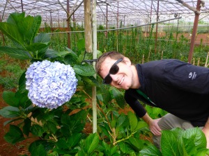 Flower Farm - Dalat, Vietnam