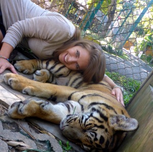 Tiger Kingdom - Chiang Mai, Thailand