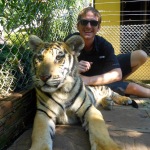 Tiger Kingdom - Chiang Mai, Thailand