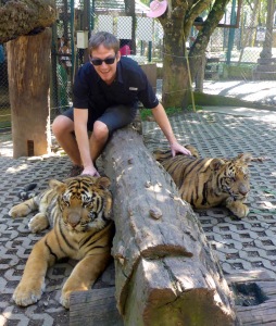 Tiger Kingdom - Chiang Mai, Thailand