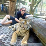 Tiger Kingdom - Chiang Mai, Thailand