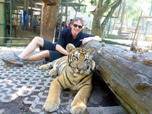 Tiger Kingdom - Chiang Mai, Thailand