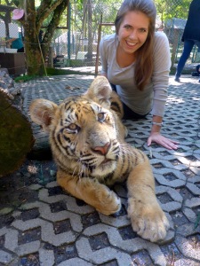 Tiger Kingdom - Chiang Mai, Thailand