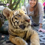 Tiger Kingdom - Chiang Mai, Thailand