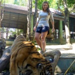 Tiger Kingdom - Chiang Mai, Thailand