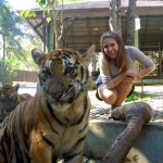 Tiger Kingdom - Chiang Mai, Thailand