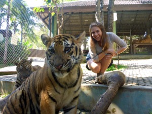 Tiger Kingdom - Chiang Mai, Thailand