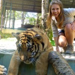 Tiger Kingdom - Chiang Mai, Thailand