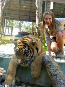 Tiger Kingdom - Chiang Mai, Thailand