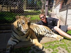 Tiger Kingdom - Chiang Mai, Thailand