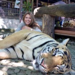 Tiger Kingdom - Chiang Mai, Thailand