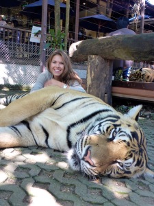 Tiger Kingdom - Chiang Mai, Thailand