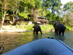 Rafting Chiang Mai