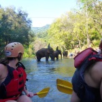 Rafting Chiang Mai