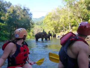 Rafting Chiang Mai