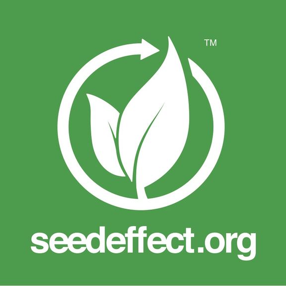 Seed Effect