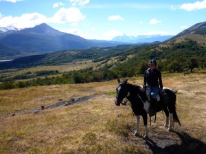 Pingo Salveje Cabalgata Patagonia Chile