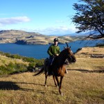 Pingo Salveje Cabalgata Patagonia Chile