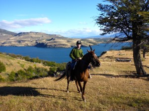 Pingo Salveje Cabalgata Patagonia Chile