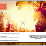 wine brochure