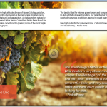 wine brochure